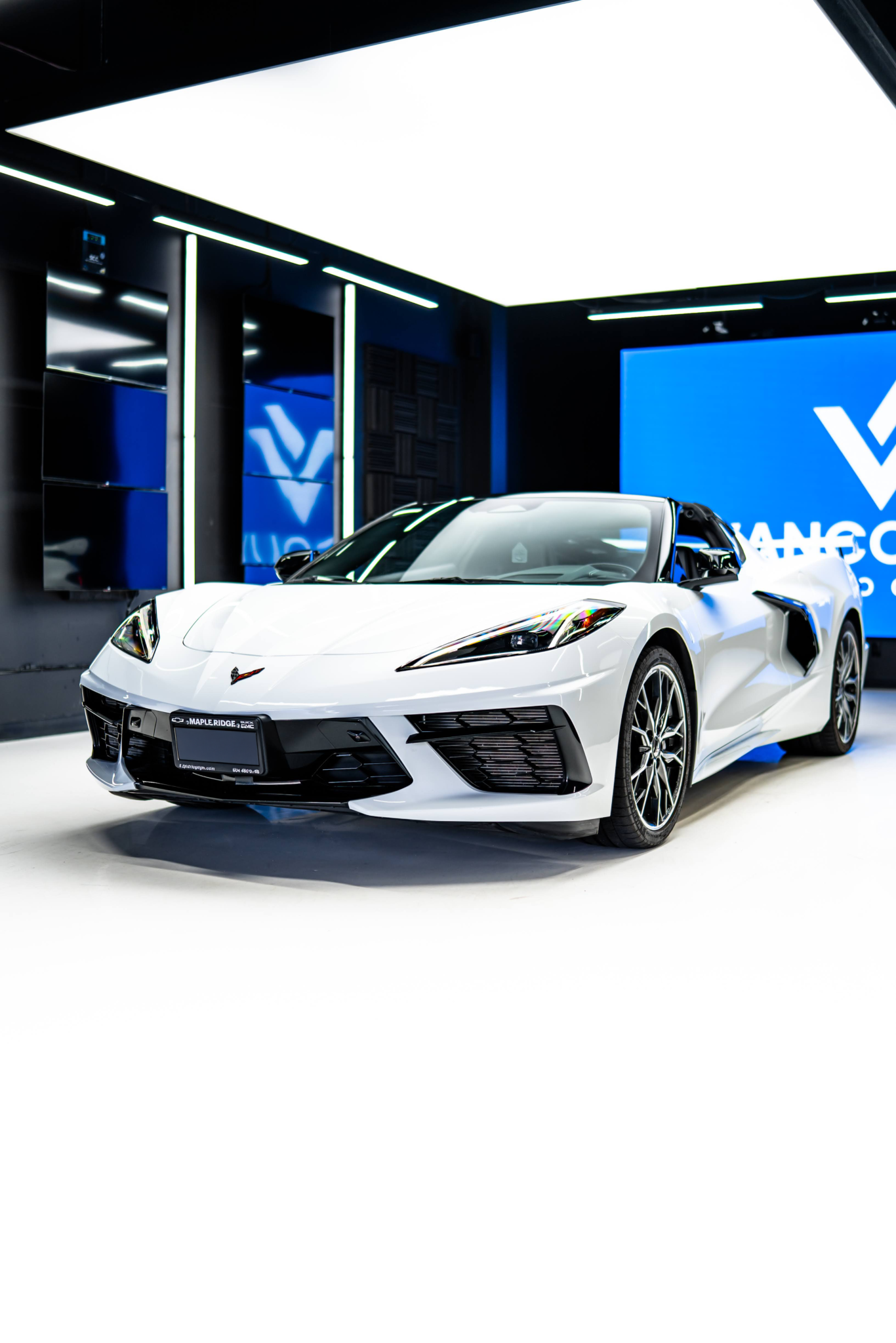 corvette2
